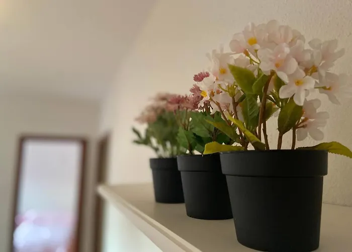 Apartmán Sego Ii Segovia